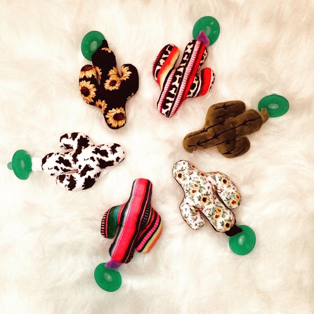 Cactus Pacifiers